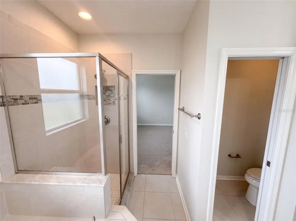 4848 WANDERING WAY Wesley Chapel, FL 33544