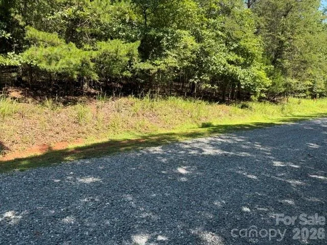 00 Elliott Drive #51 Rutherfordton, NC 28139