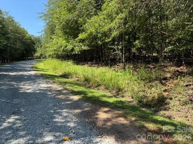 00 Elliott Drive #51 Rutherfordton, NC 28139