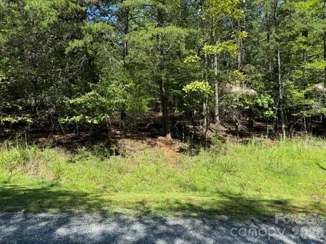 00 Elliott Drive #51 Rutherfordton, NC 28139