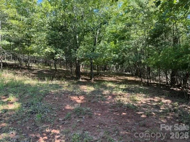 00 Elliott Drive #51 Rutherfordton, NC 28139
