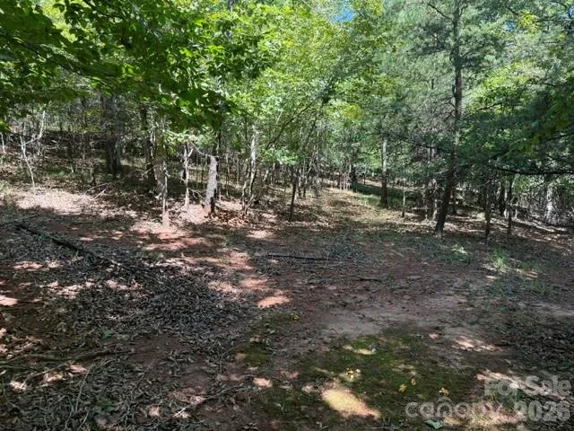 00 Elliott Drive #51 Rutherfordton, NC 28139