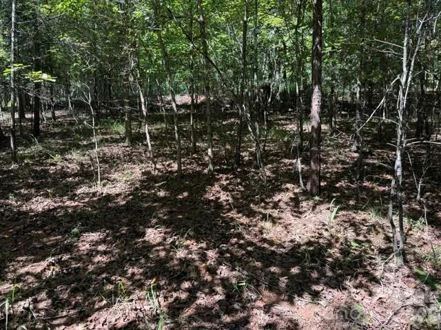 00 Elliott Drive #51 Rutherfordton, NC 28139