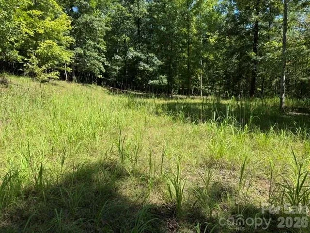 00 Elliott Drive #51 Rutherfordton, NC 28139