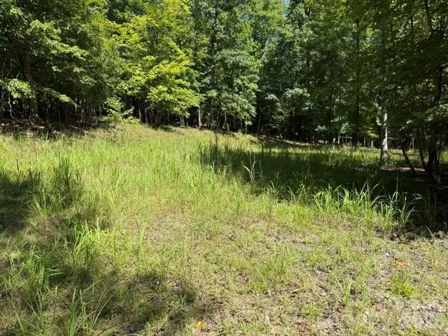 00 Elliott Drive #51 Rutherfordton, NC 28139