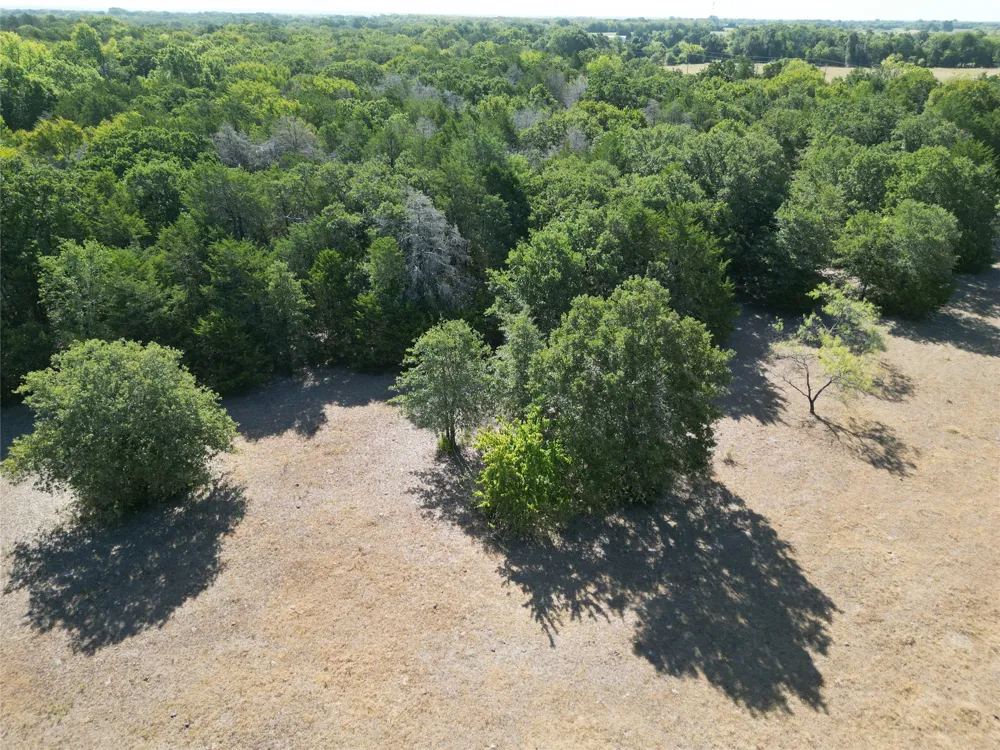NE County Road 1030 Rice, TX 75155