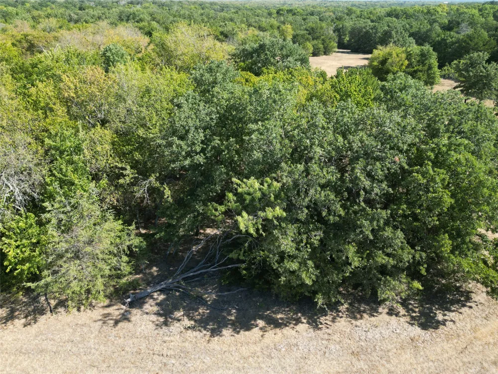 NE County Road 1030 Rice, TX 75155