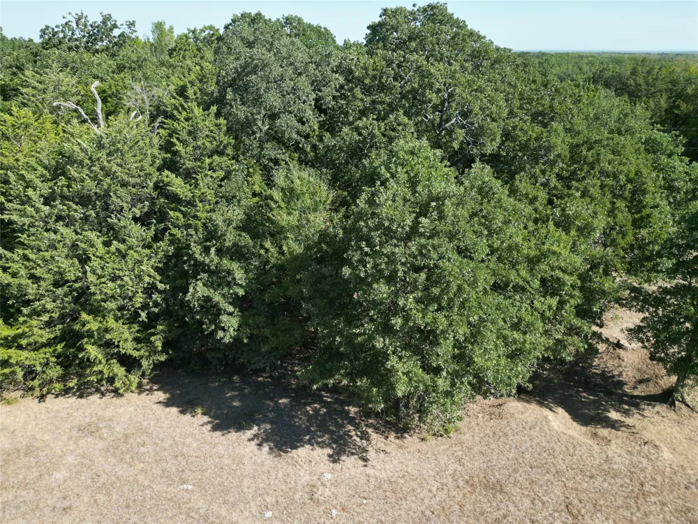 NE County Road 1030 Rice, TX 75155