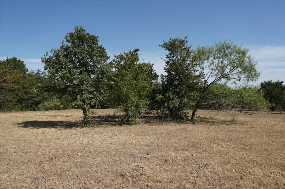 NE County Road 1030 Rice, TX 75155