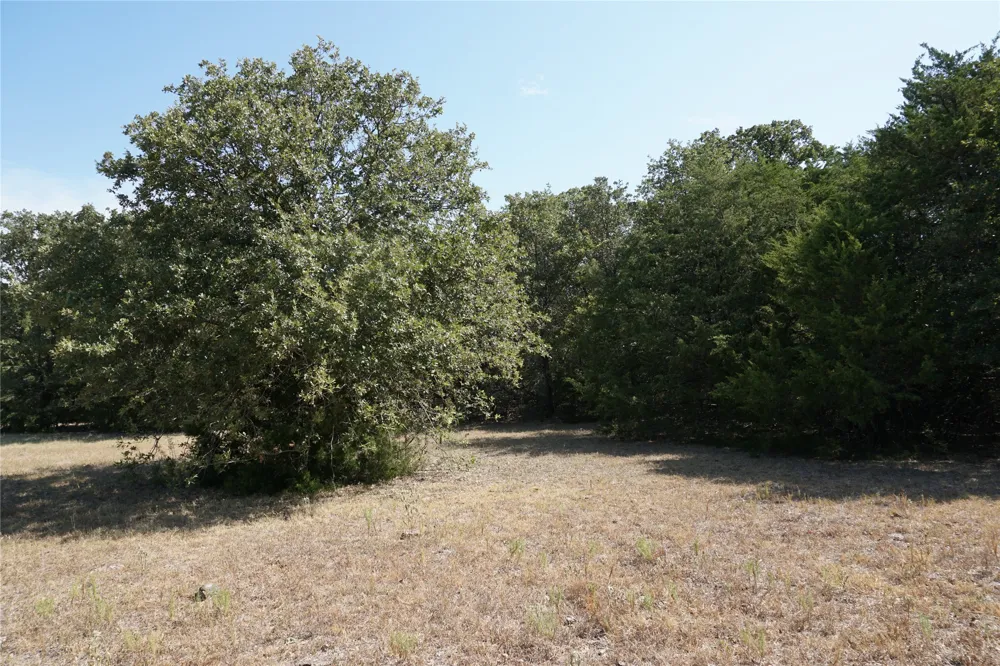 NE County Road 1030 Rice, TX 75155