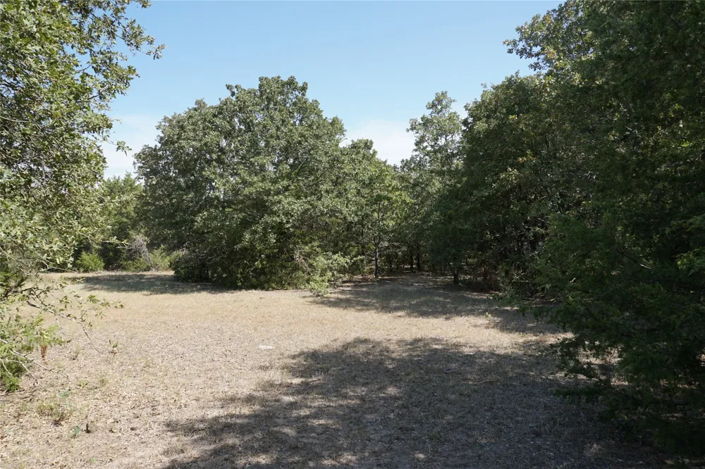 NE County Road 1030 Rice, TX 75155