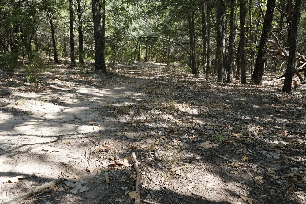 NE County Road 1030 Rice, TX 75155