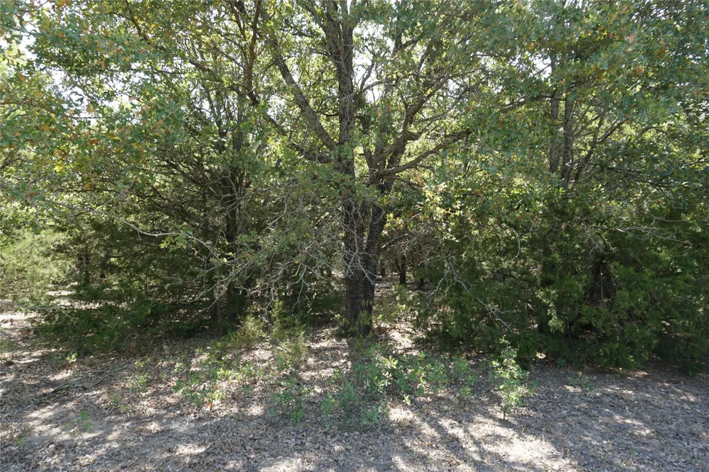 NE County Road 1030 Rice, TX 75155
