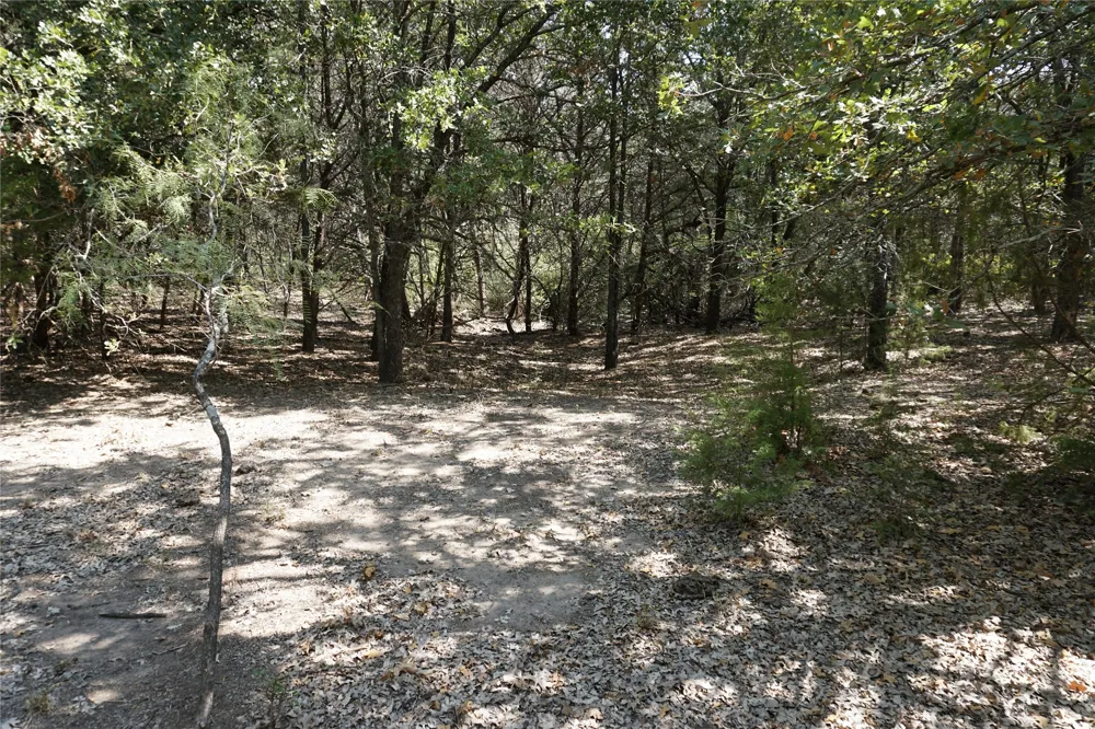 NE County Road 1030 Rice, TX 75155