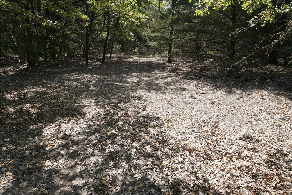 NE County Road 1030 Rice, TX 75155