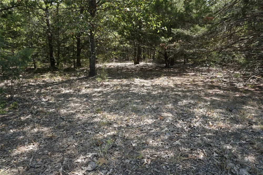 NE County Road 1030 Rice, TX 75155