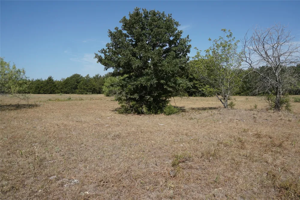 NE County Road 1030 Rice, TX 75155