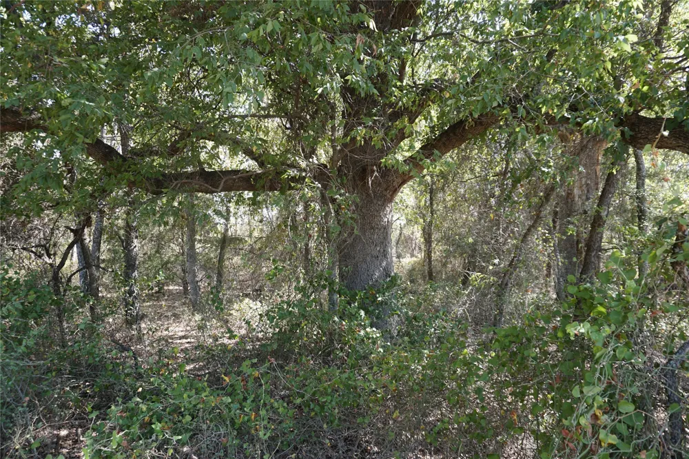 NE County Road 1030 Rice, TX 75155
