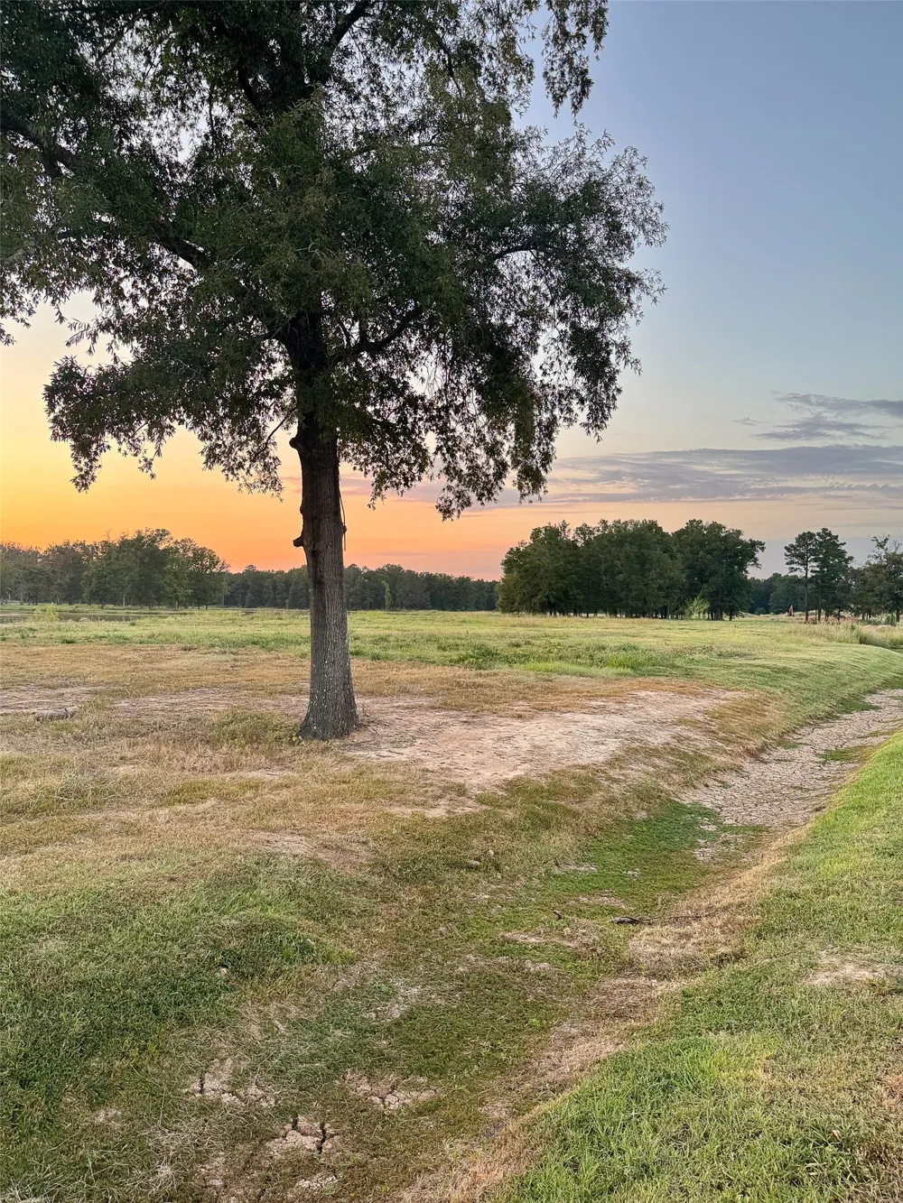 Shumard Circle Shreveport, LA 71106