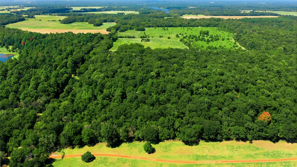 CR 3613 Murchison, TX 75758