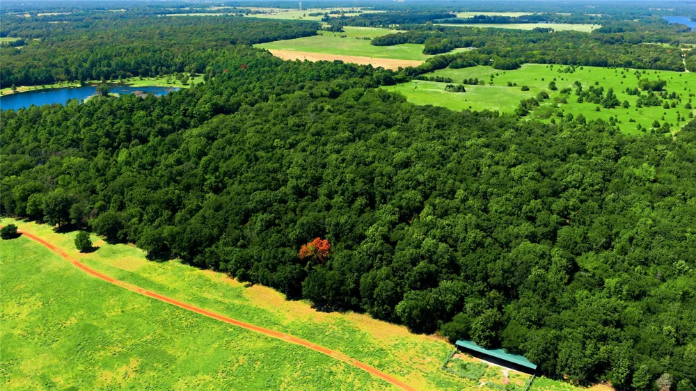 CR 3613 Murchison, TX 75758