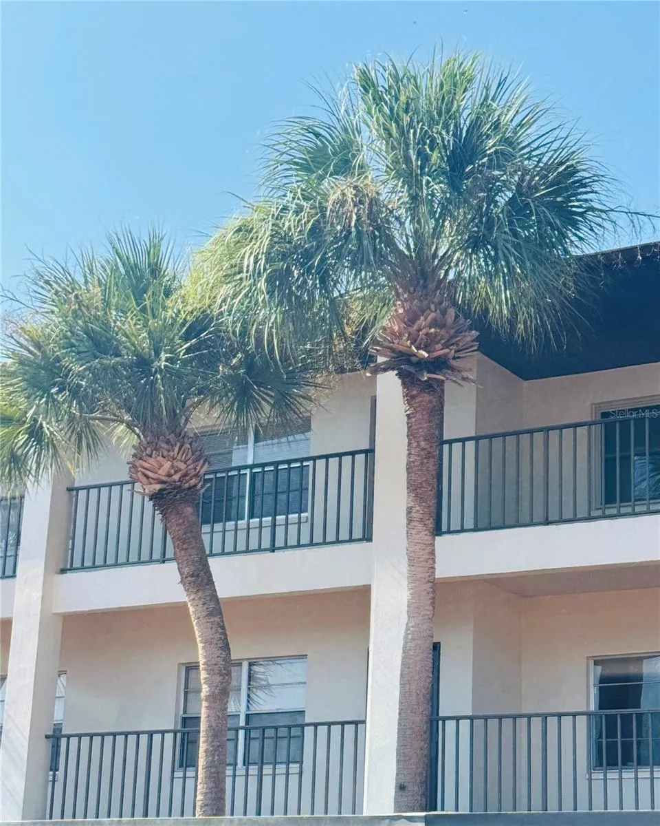 2452 ENTERPRISE ROAD #23 Clearwater, FL 33763