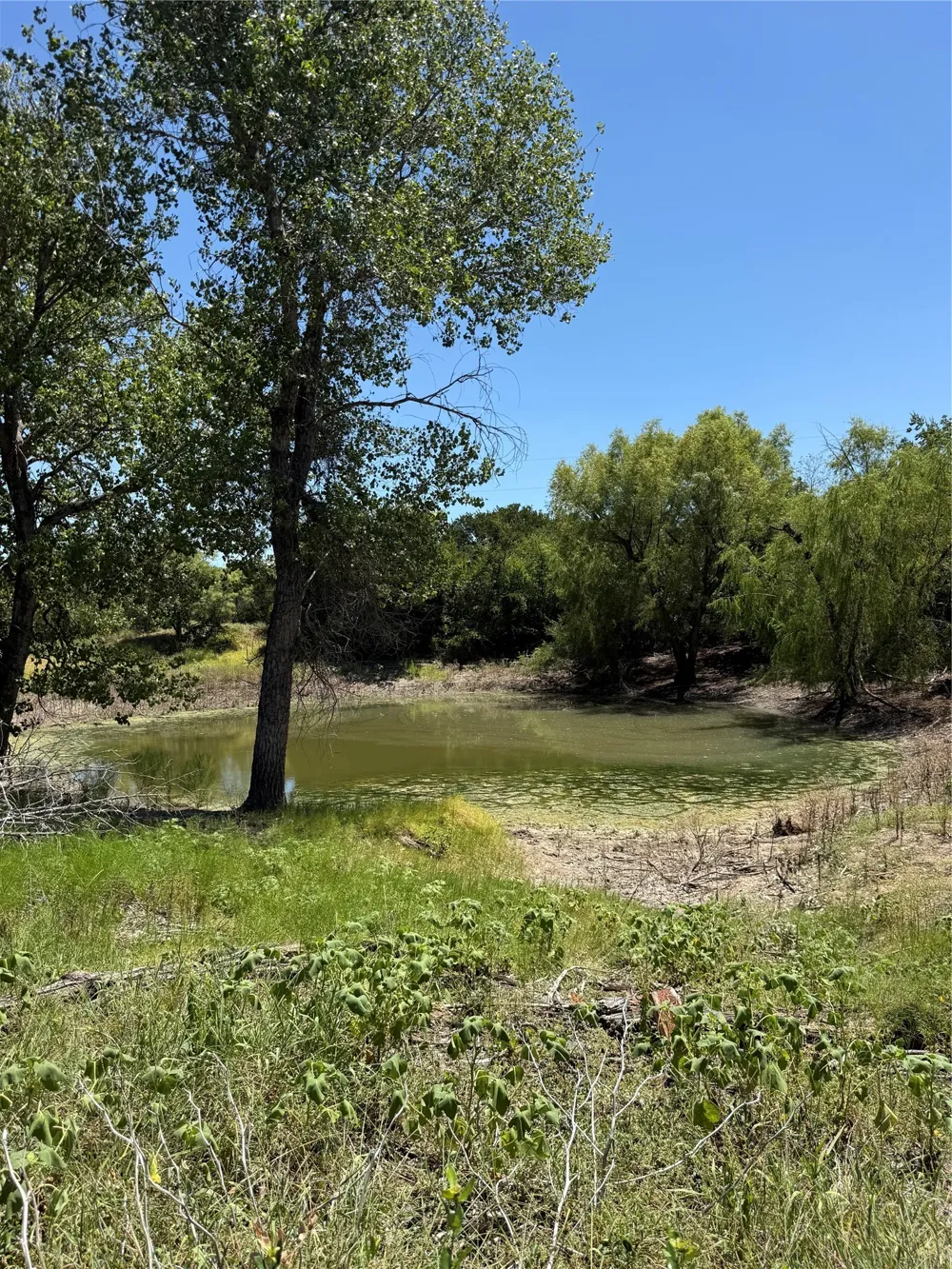11023 Paradise Boulevard Bluff Dale, TX 76433