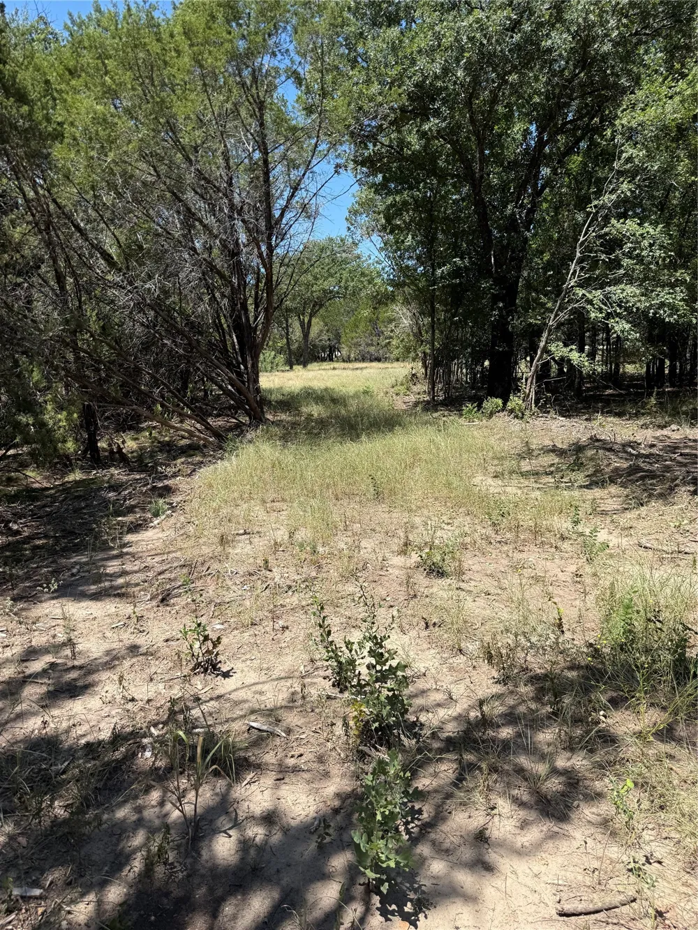 11023 Paradise Boulevard Bluff Dale, TX 76433