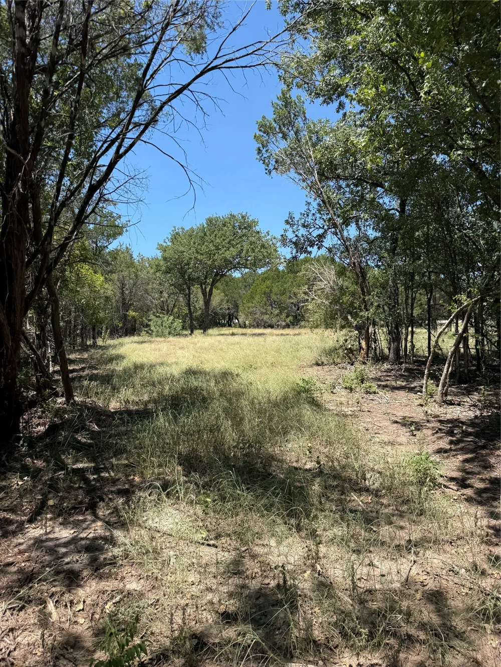 11023 Paradise Boulevard Bluff Dale, TX 76433