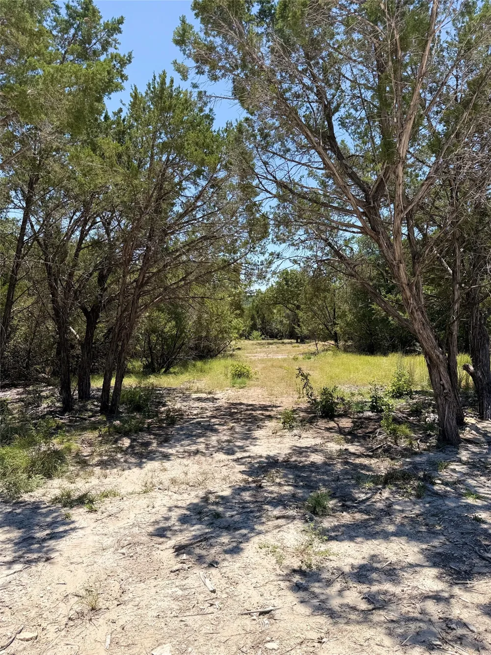 11023 Paradise Boulevard Bluff Dale, TX 76433