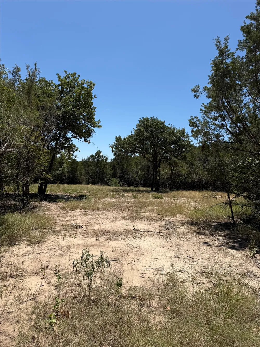 11023 Paradise Boulevard Bluff Dale, TX 76433