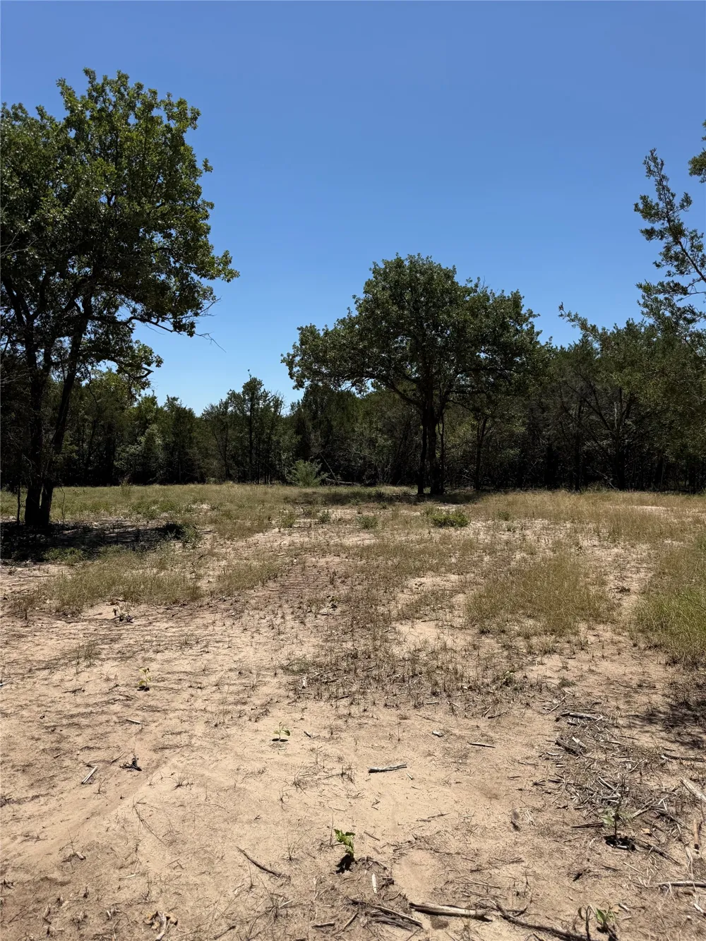 11023 Paradise Boulevard Bluff Dale, TX 76433