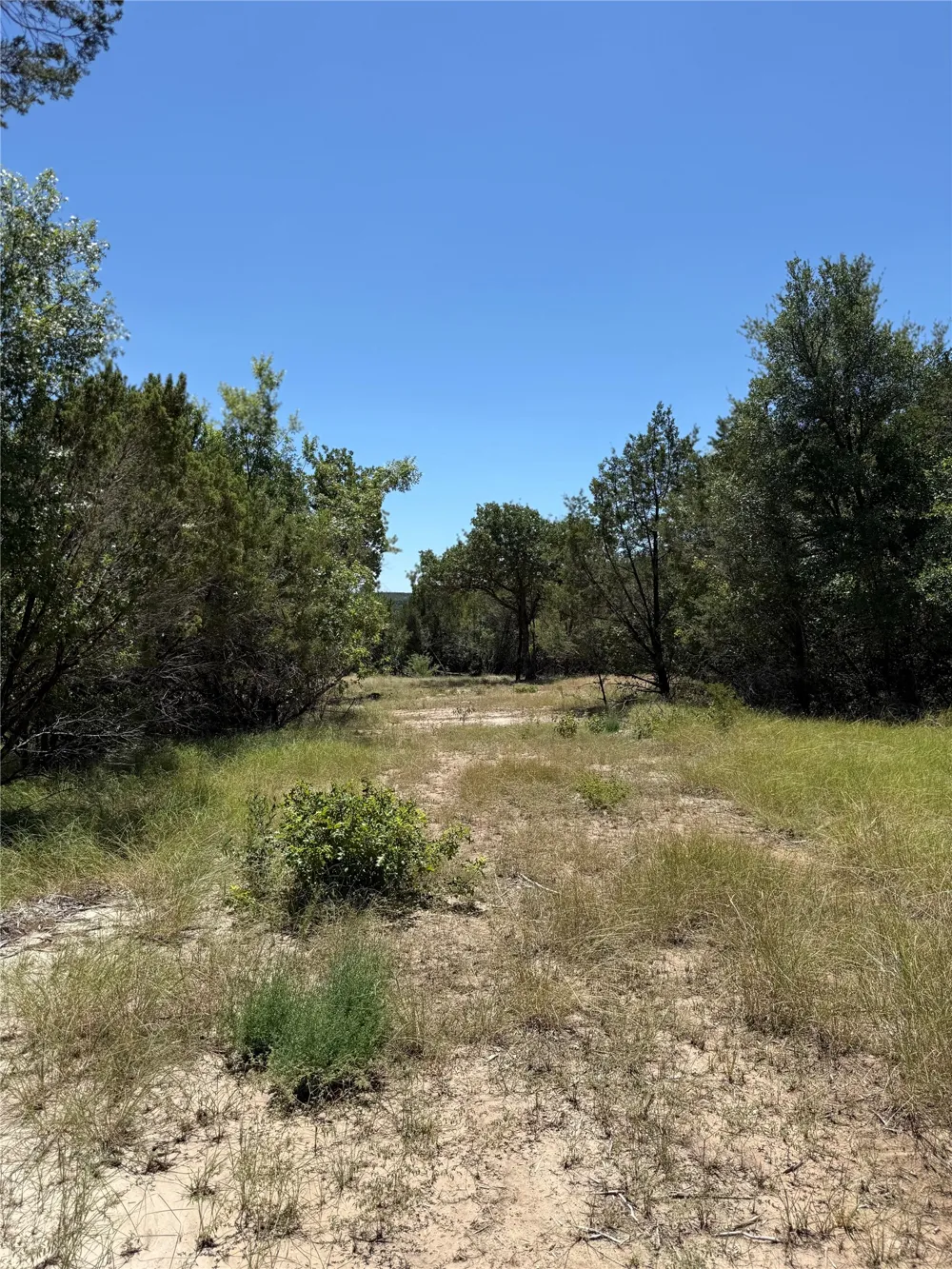 11023 Paradise Boulevard Bluff Dale, TX 76433