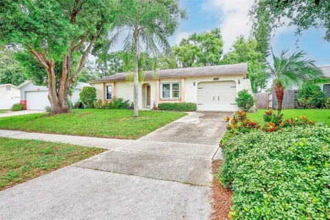 2560 ELDERBERRY DRIVE