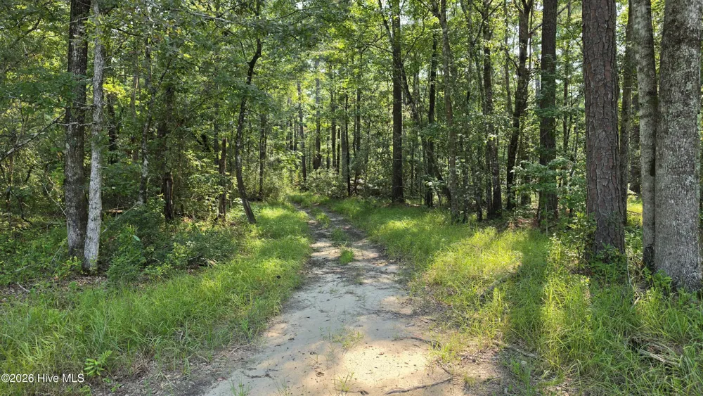 347 Sandy Point Drive Beaufort, NC 28516