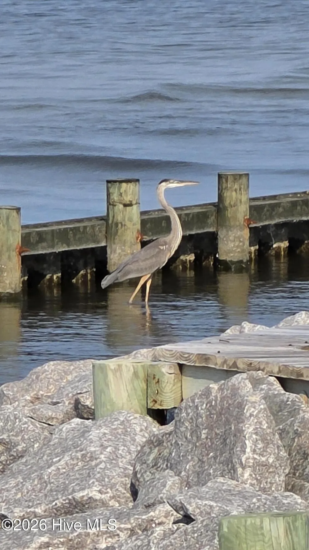 347 Sandy Point Drive Beaufort, NC 28516