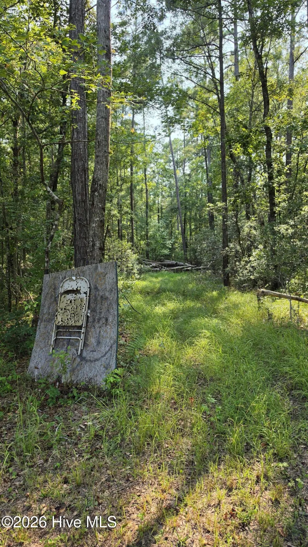 347 Sandy Point Drive Beaufort, NC 28516