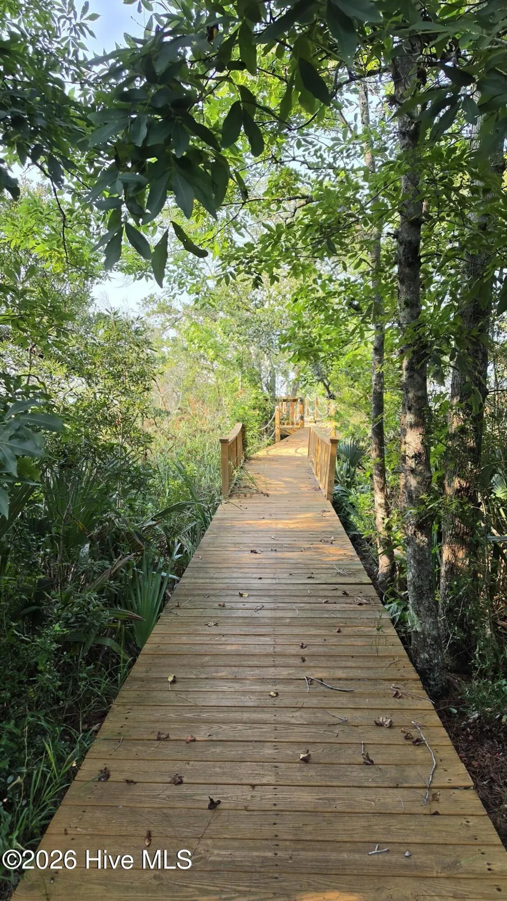347 Sandy Point Drive Beaufort, NC 28516