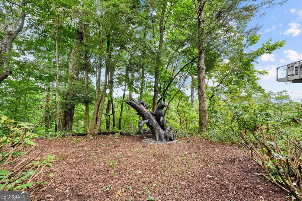 202 Sanderlin Mountain DR N Big Canoe, GA 30143