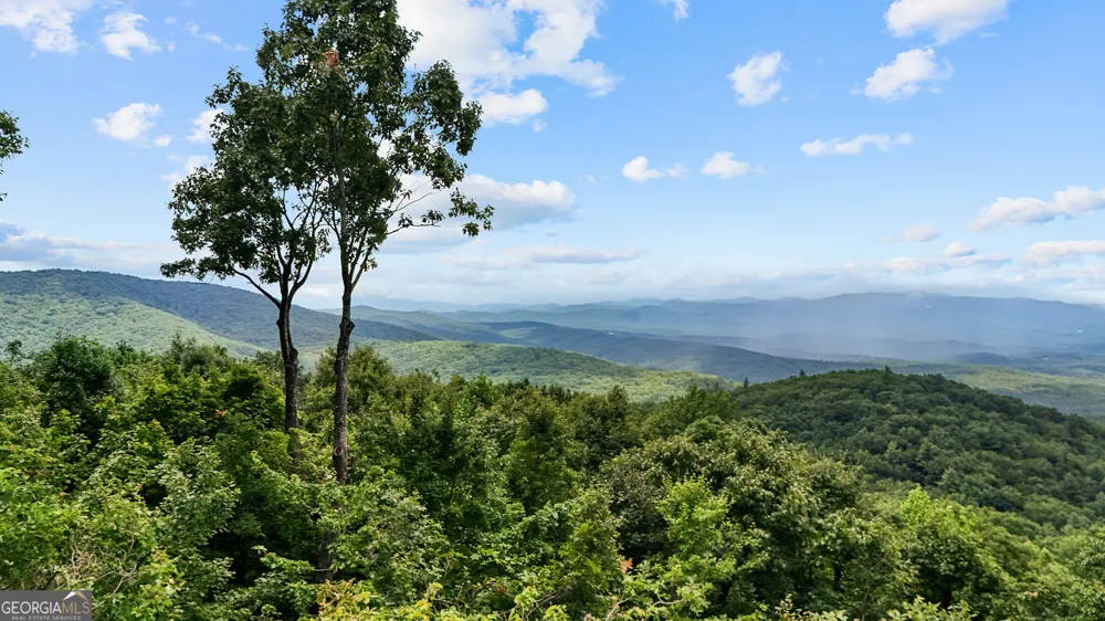 202 Sanderlin Mountain DR N Big Canoe, GA 30143