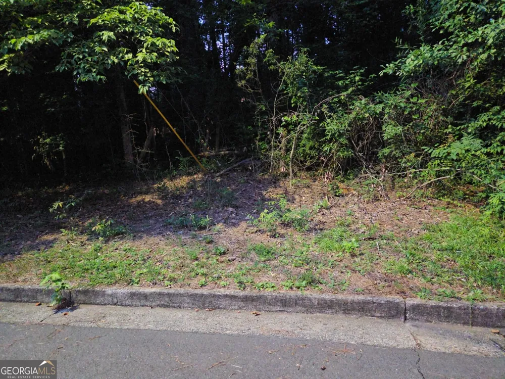 0 Lake Esther DR Fairburn, GA 30213