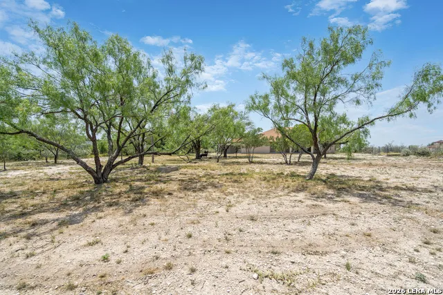 159 W Skyview Del Rio, TX 78840