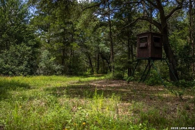1080 FRELSBURG RD Alleyton, TX 78935