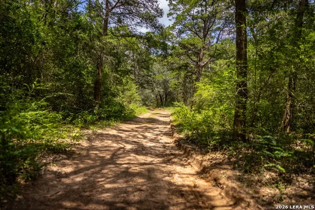 1080 FRELSBURG RD Alleyton, TX 78935