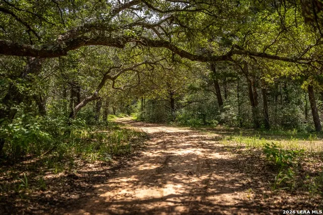 1080 FRELSBURG RD Alleyton, TX 78935
