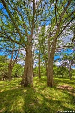 751 Fm 337 Medina, TX 78055