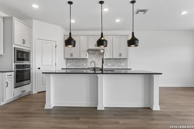 12102 Vista Flats Live Oak, TX 78233
