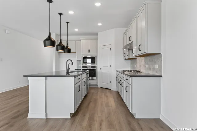 12102 Vista Flats Live Oak, TX 78233