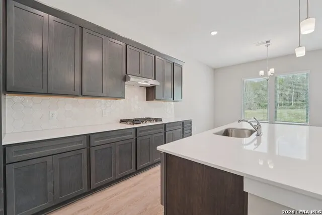 321 Firewheel Loop Floresville, TX 78114