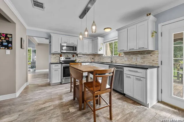 296 SPRING RIVER DR Martindale, TX 78655